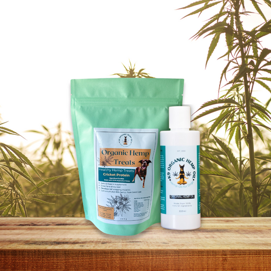 Everyday Oil & Organic Hemp Treats Bundle