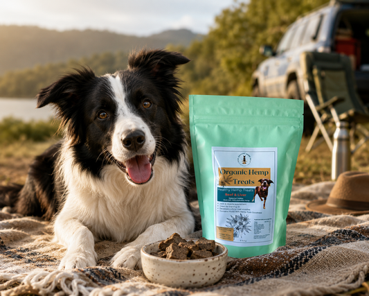 Hemp Treats
