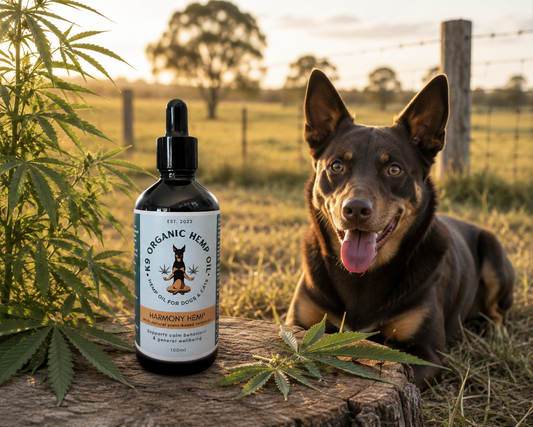 Harmony Hemp Oil