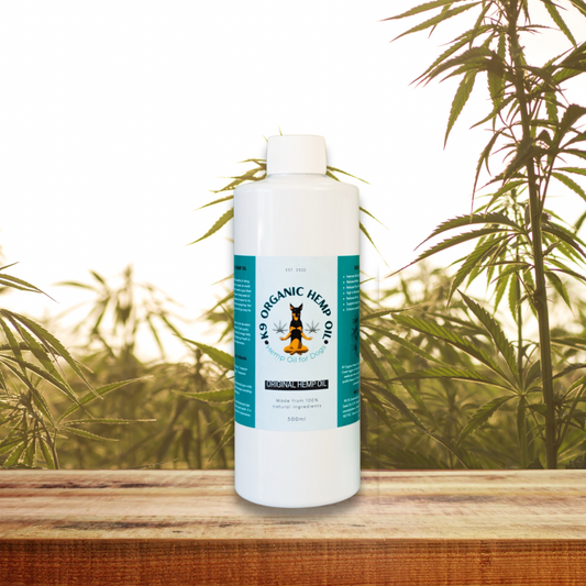 Everyday Hemp Oil 500ml