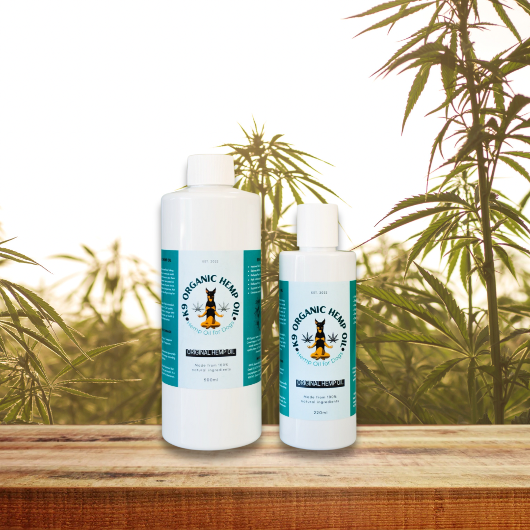 Everyday Hemp Oil 500ml