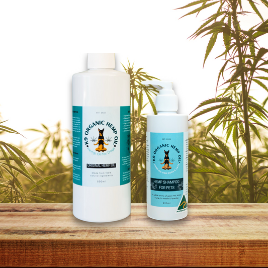 Everyday Hemp Oil 500ml & Hemp Shampoo Bundle